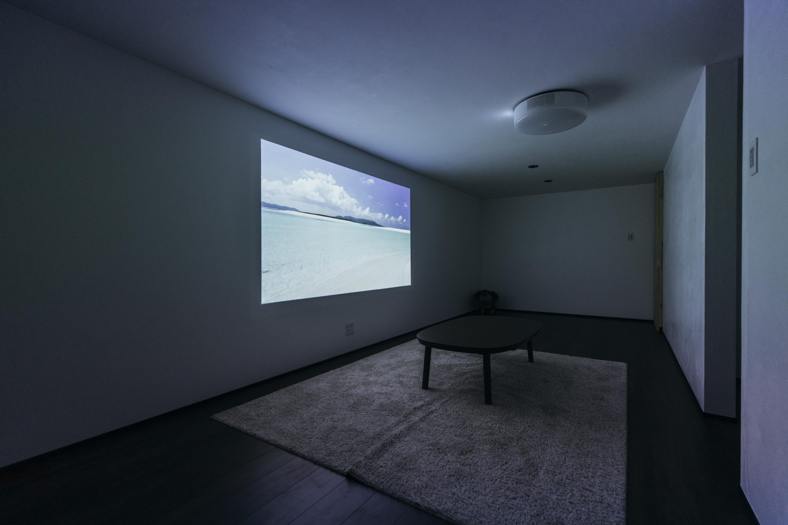 Theater Room